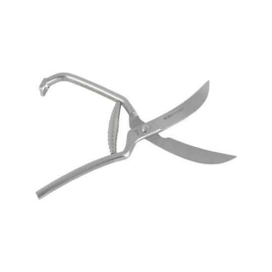 PORK SHEARS GRUNTER - 280MM