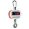 ADAM CRANE SCALE & REMOTE 300KG