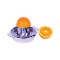 CITRUS JUICER MANUAL - S/STEEL