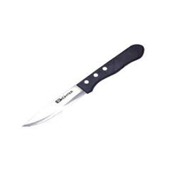 STEAK KNIFE BROAD BLADE - PLASTIC HANDLE (1)