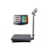 PLATFORM SCALE 300KG - 3 MONTH WARRANTY