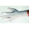 DISPOSABLE VINYL GLOVES - POWDER FREE - PACK OF 10